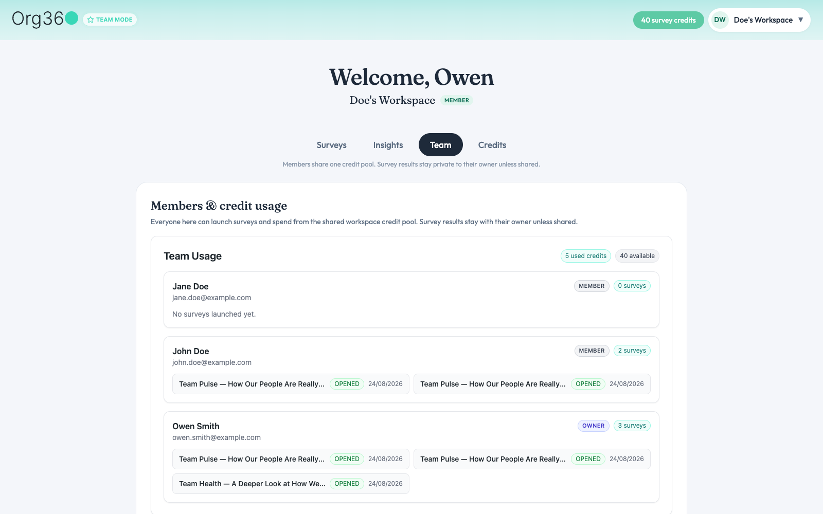 Team Usage tab with a per-member breakdown of surveys launched